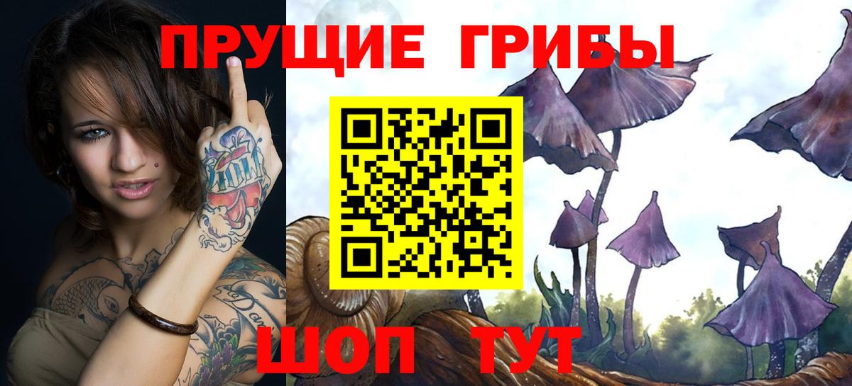 Галлюциногенные грибы мицелий  Вход с VPN  Крымск  наркошоп  Псилоцибиновые грибы мицелий 